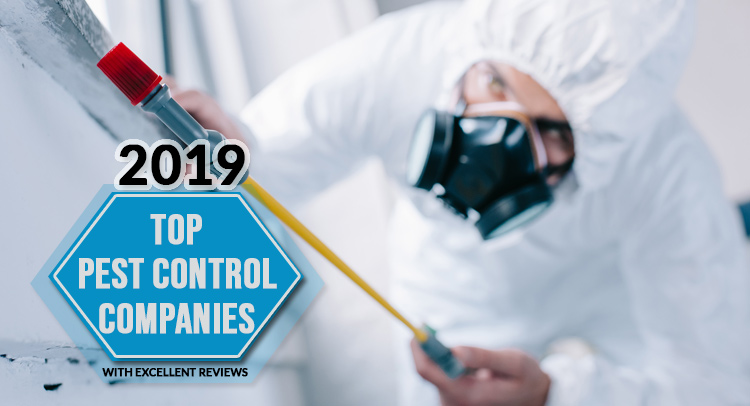2019 Top Pest Control Companies With Excellent Review
