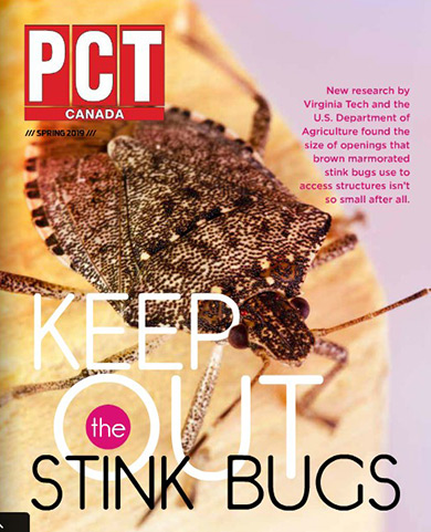 PCT stinkbugs
