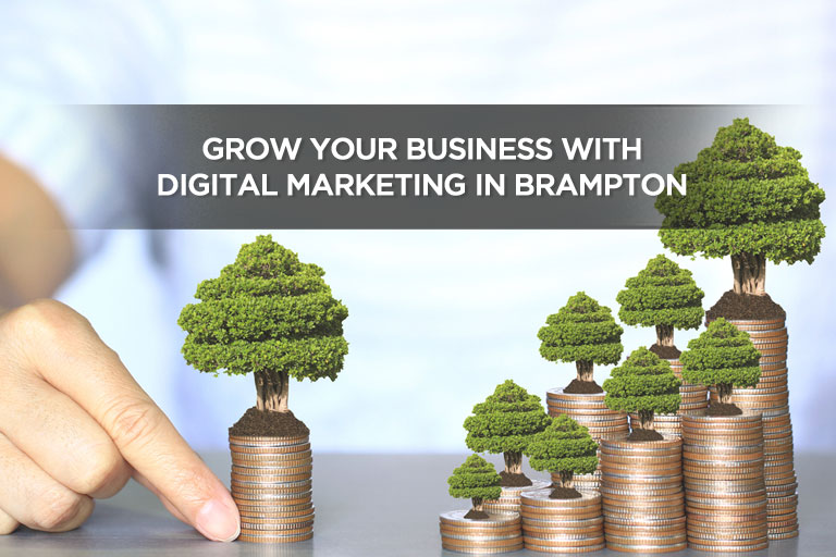 Grow Your Business With Digital Marketing in Brampton