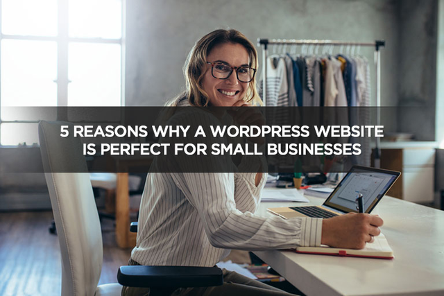 5 Reasons Why a WordPress Website is Perfect For Small Businesses