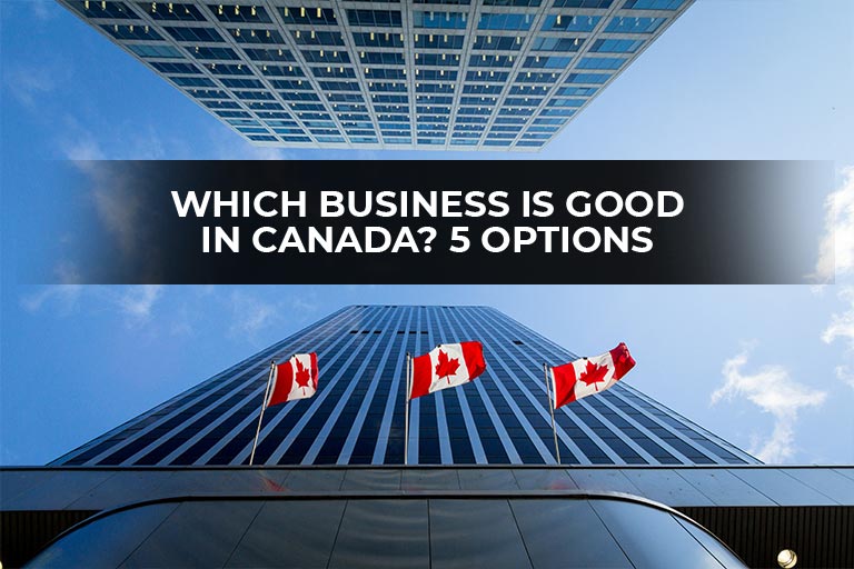 Which Business is Good in Canada? 5 Options