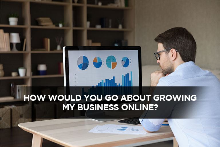 How-would-you-like-grow-my-business-online