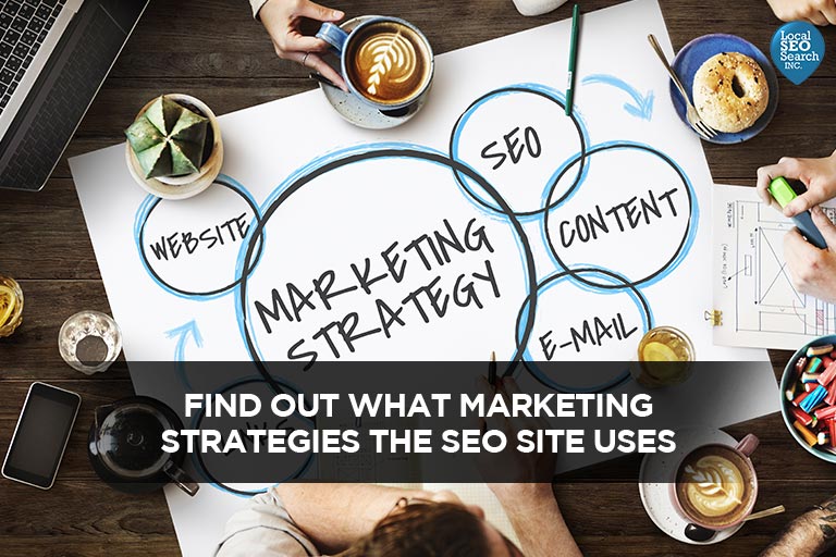 Find out which-Marketing-Strategies-Uses-the-Website-SEO